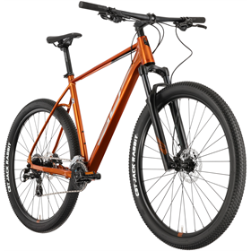 Rower MTB SUPERIOR XC 819